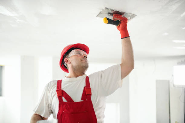 Best Repainting for Renovations  in Lake Butler, FL